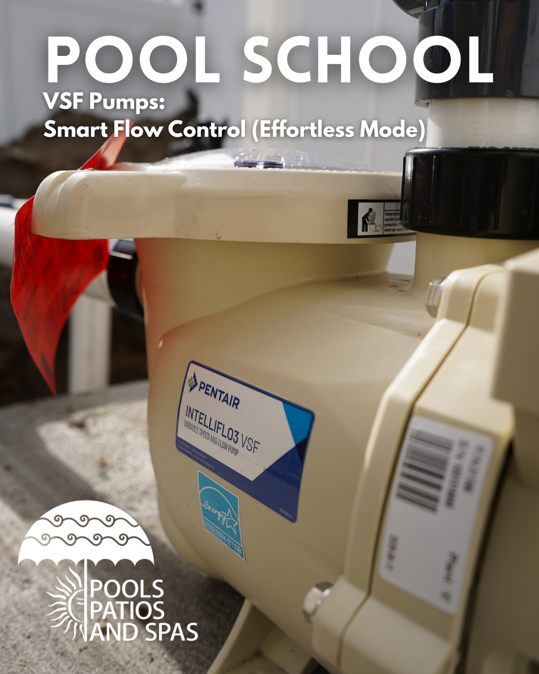 VSF Pool Pump form PPS